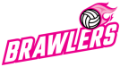 Dartmouth VolleyBrawlers